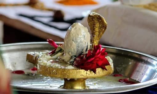 Kaal Sarp Dosh Puja Ujjain by Pandit Dilip Ji Sastri